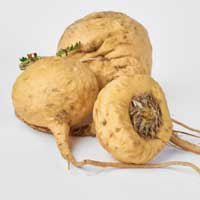 Quietum Plus Ingredients