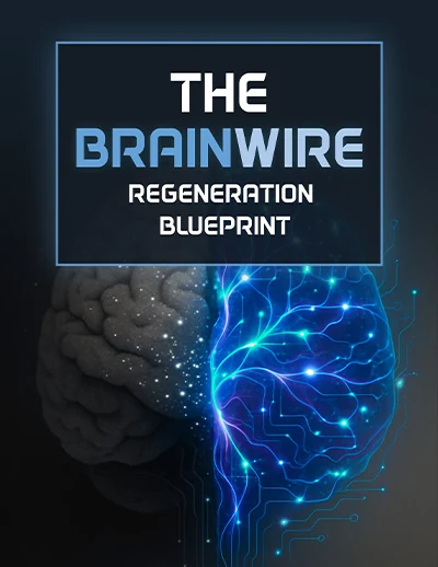 The Brainwire Regeneration Blueprint digital guide cover